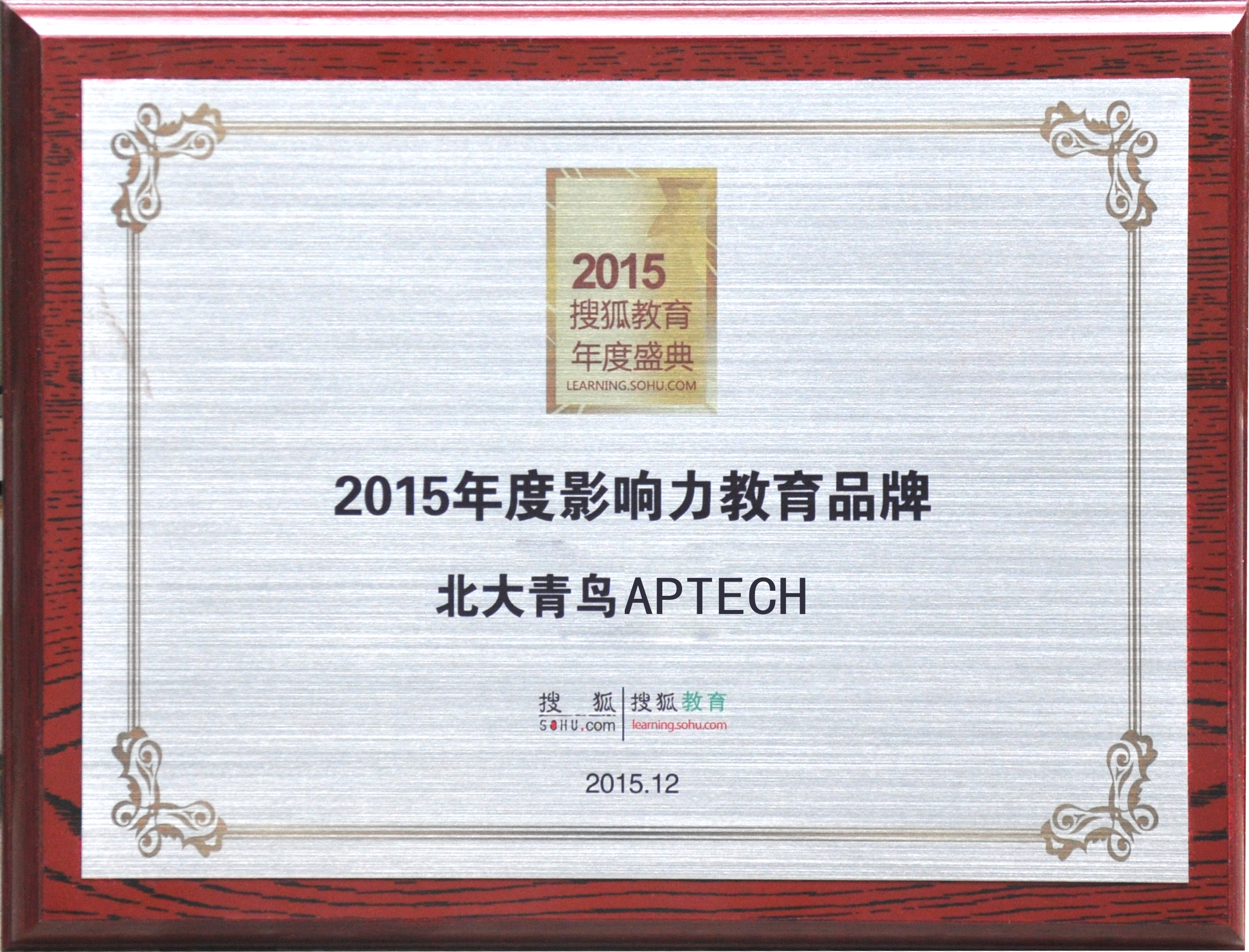 搜狐网2015年度影响力教育品牌.JPG