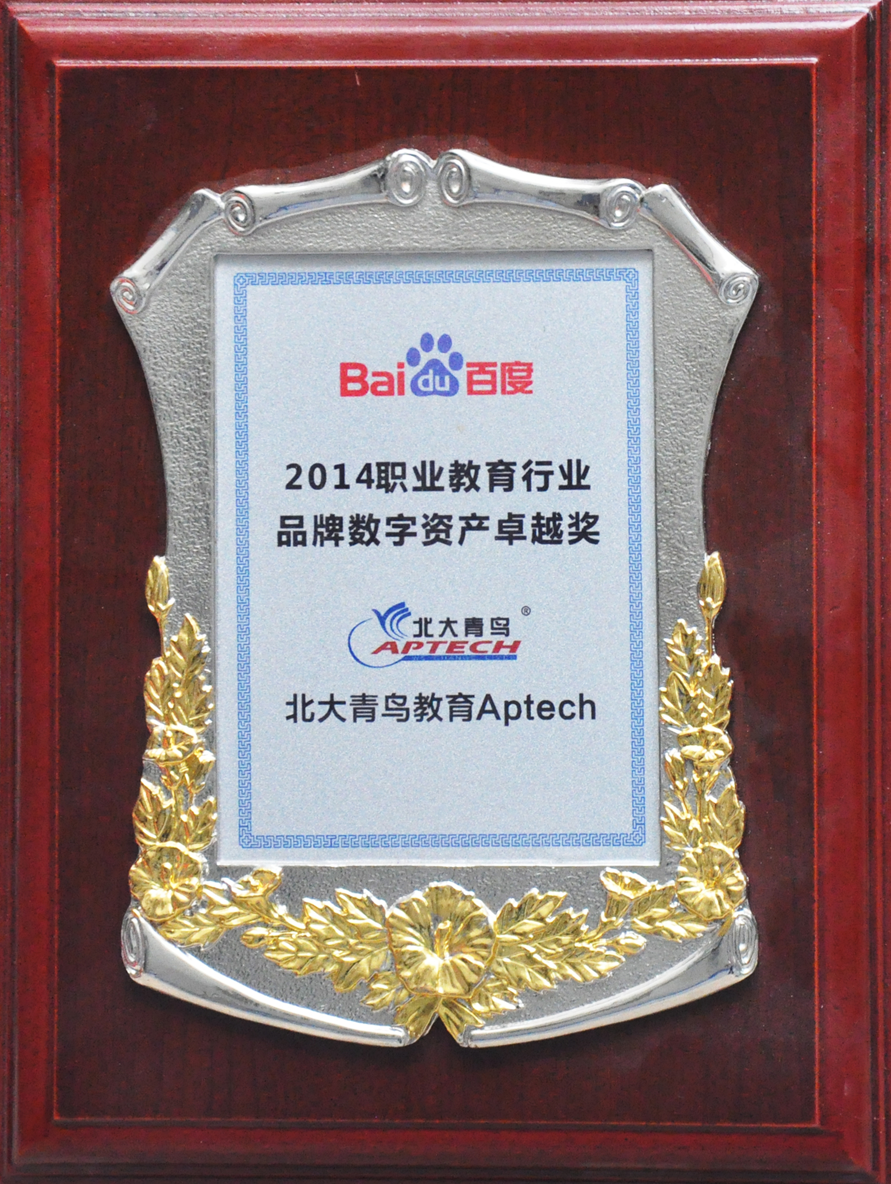 2014职业教育行业品牌数字资产卓越奖.JPG